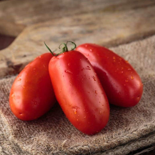 Seminte Tomate San Marzano 2 0.5 g