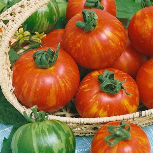 Seminte Tomate Tigerella 0.3g