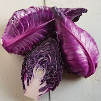 Thumbnail for Seminte Varza Rosie Kalibos 2 g