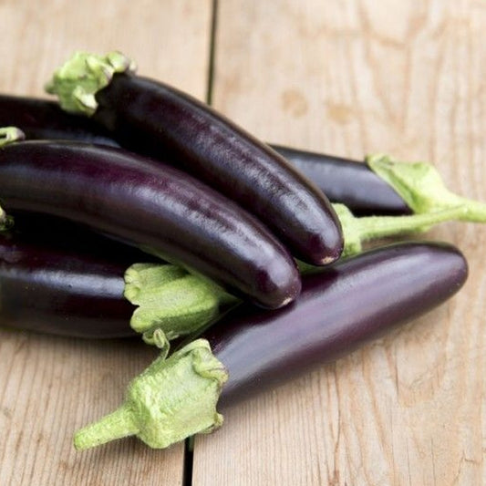 Seminte Vinete Violetta Lunga 3 1 g