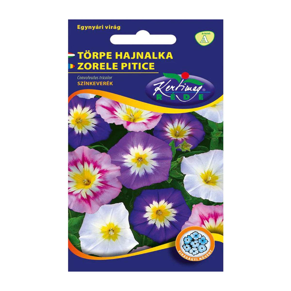 Seminte flori Zorele Pitice (Convolvulus Tricolor) Mix 2 g